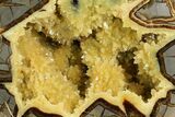 Polished, Yellow Crystal Filled Septarian Geode - Utah #112116-2